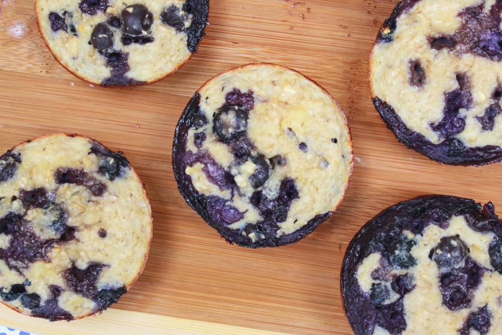 Blueberry Protein Muffin recipe with macros.