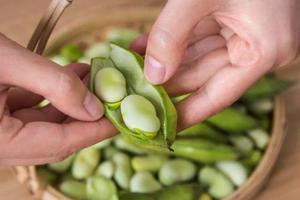 8岁前是不是真的不能吃蚕豆？