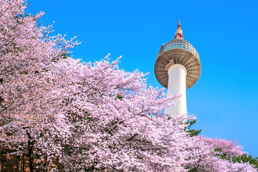 Top 20 địa điểm du lịch đẹp nhất Hàn Quốc Dịch vụ làm Visa uy tín