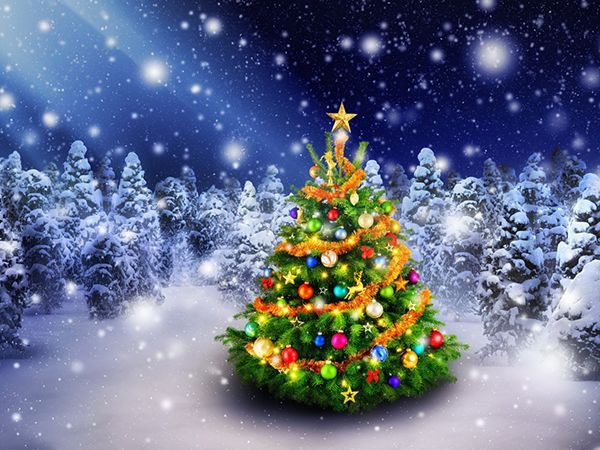 Nguồn gốc ý nghĩa và 5 ý tưởng trang trí cây thông Noel phổ biến