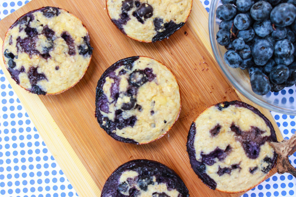 Blueberry Protein muffin recipe with macros