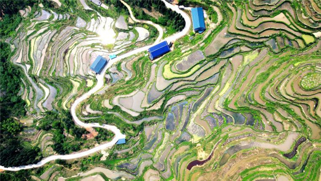 Galeria: terraços nas montanhas criam paisagem única em Guangxi
