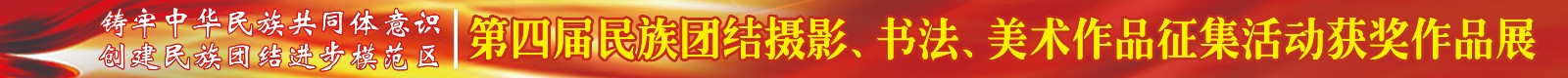 铸牢中华民族共同体意识 创建民族团结进步模范区"获奖作品展