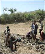 Ethiopian farmers