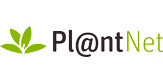 Projet Plantnet