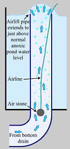 Anoxic filtration - airlift