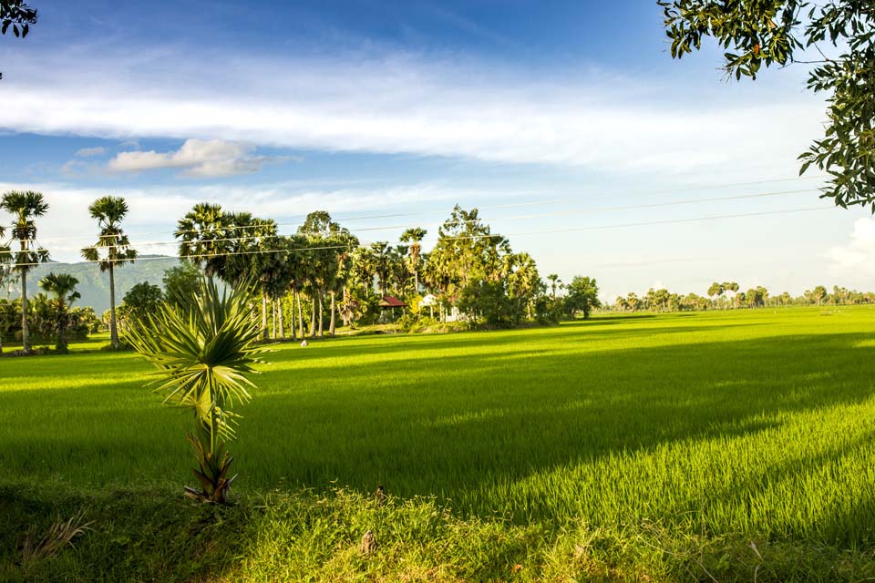 Ngắm nhìn Hình ảnh làng quê Việt Nam yên bình mộc mạc Kiến Thức Cho Người lao Động Việt Nam