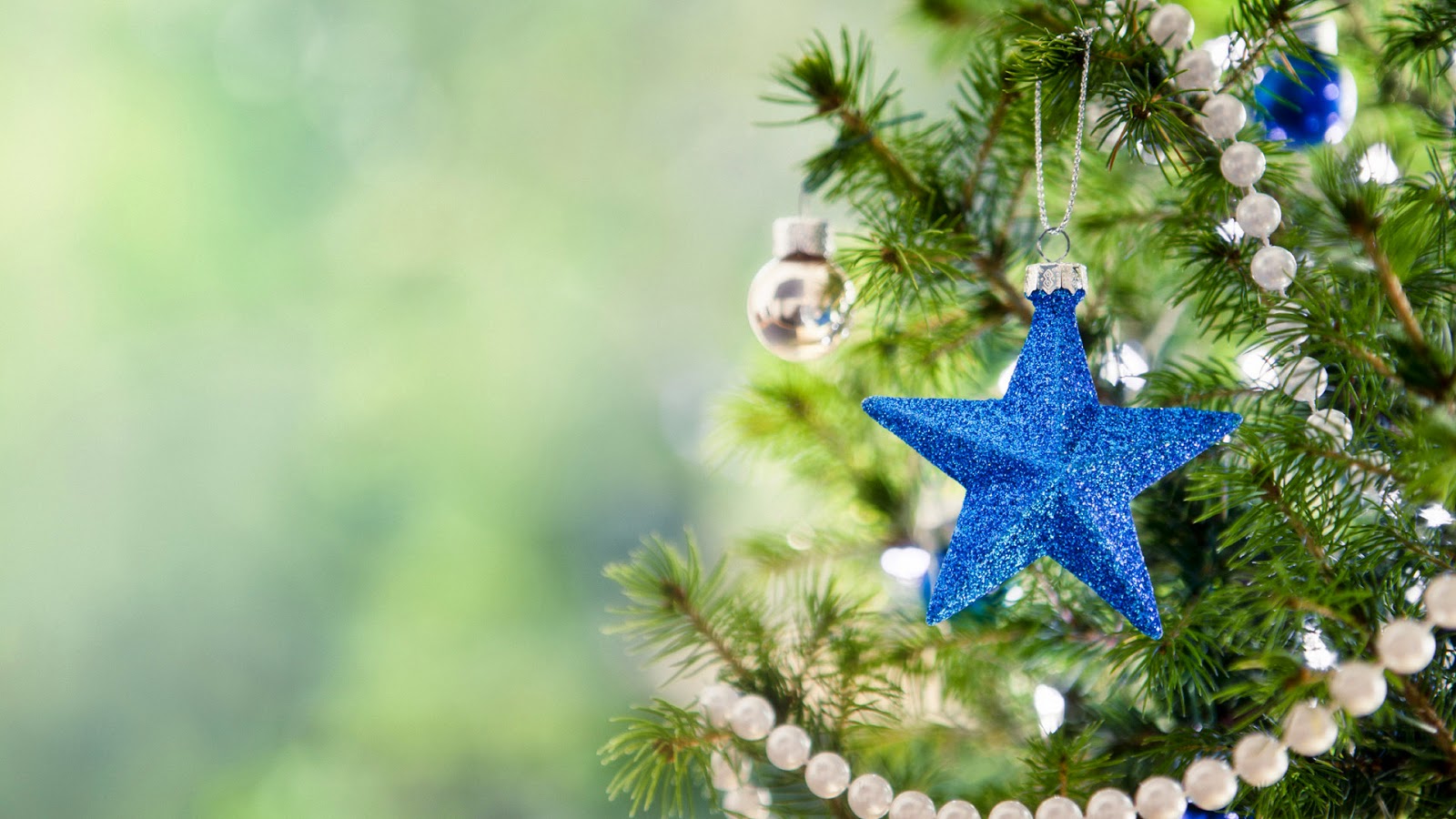 Hình ảnh cây thông Noel đẹp nhất cho mùa Giáng Sinh ấm áp Trường THPT Kiến Thụy