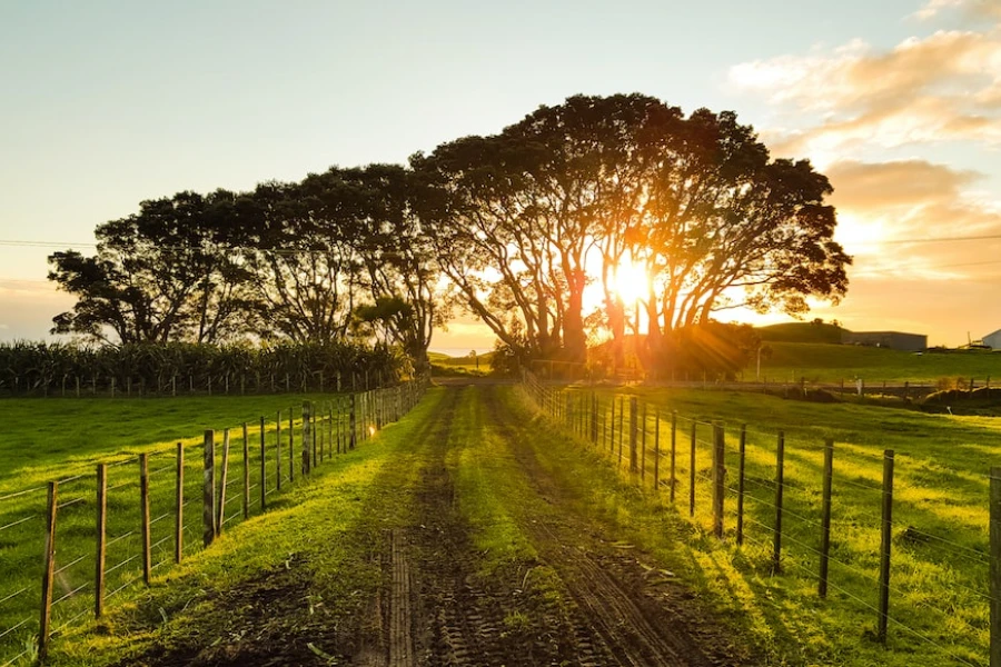 LE MINIPALE OI TRATTORI SONO PIÙ EFFICIENTI PER L'AGRICOLTURA? Farm-road-leading-into-the-distant-sunset