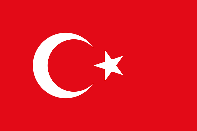 Flag of Turkey/Türk