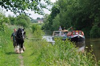 Horse Drawn Boat Trip & Marlborough