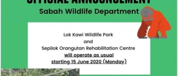 Reopening of Lok Kawi Wildlife Park, Sepilok Orangutan Rehabilitation Centre & Borneo Sunbear Conservation Centre