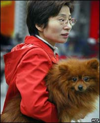 A woman carries her pet dog in Shanghai