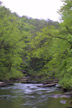 stream, Fall Creek Falls SP, Tennessee