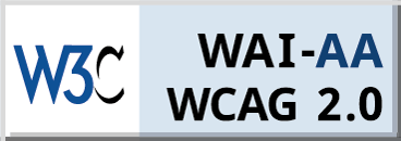 Explanation of WCAG 2.0 Level Double-A Conformance
