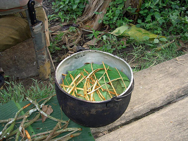 Como o turismo da ayahuasca est prejudicando os povos indgenas da Amaznia.Preparado da ayahuasca. Foto via Wikimedia Commons.