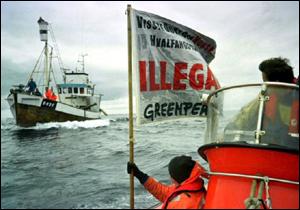 greenpeace boat shadows norway whaler
